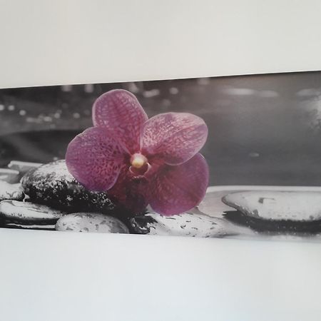 Apartments Paris Umag Zewnętrze zdjęcie